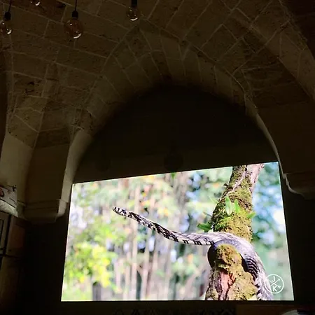 Wineexperience- Wine&jacuzzi *